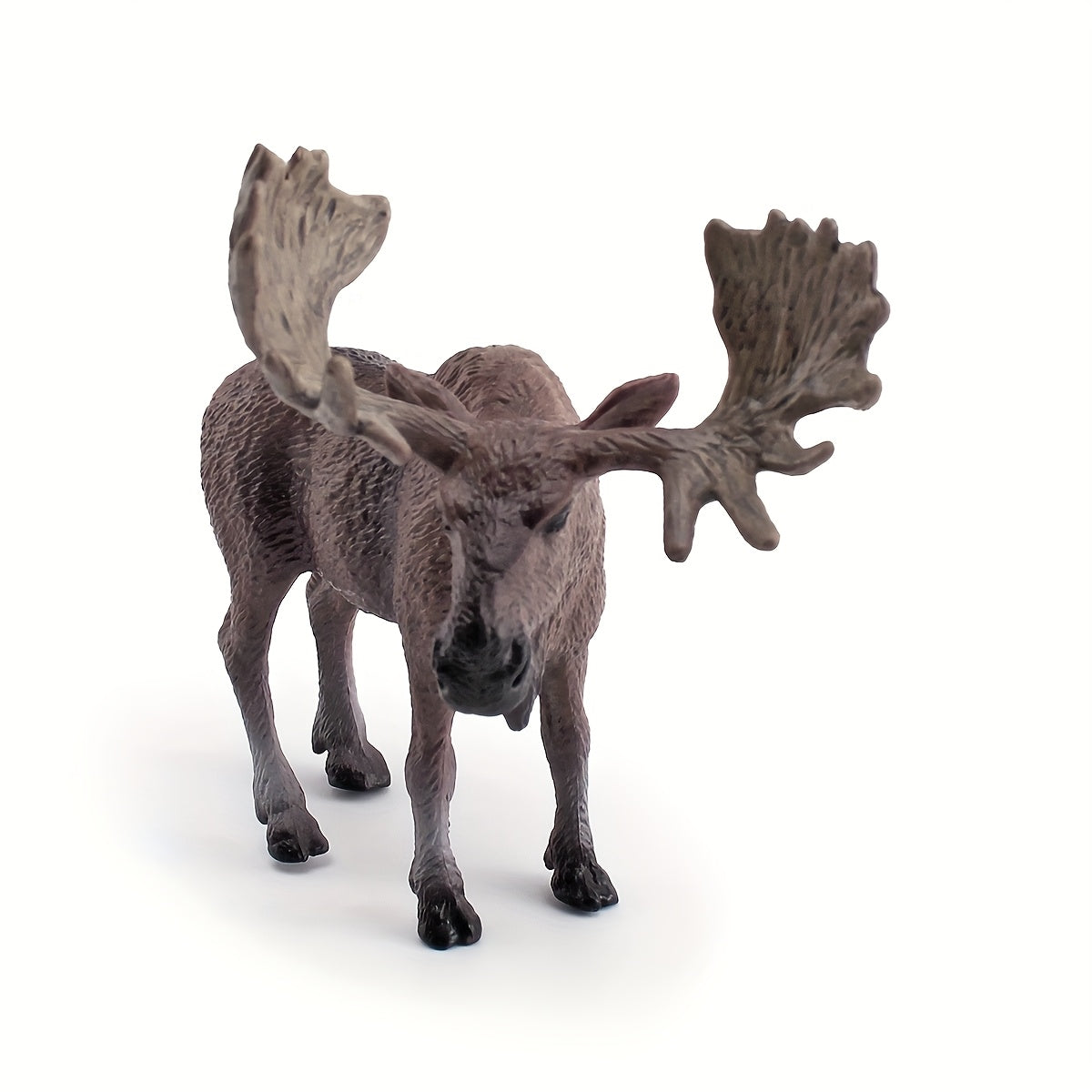 Desktop Moose Model for Kids' Learning