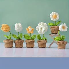 Crochet Plant Ornaments Kit with English Instructions