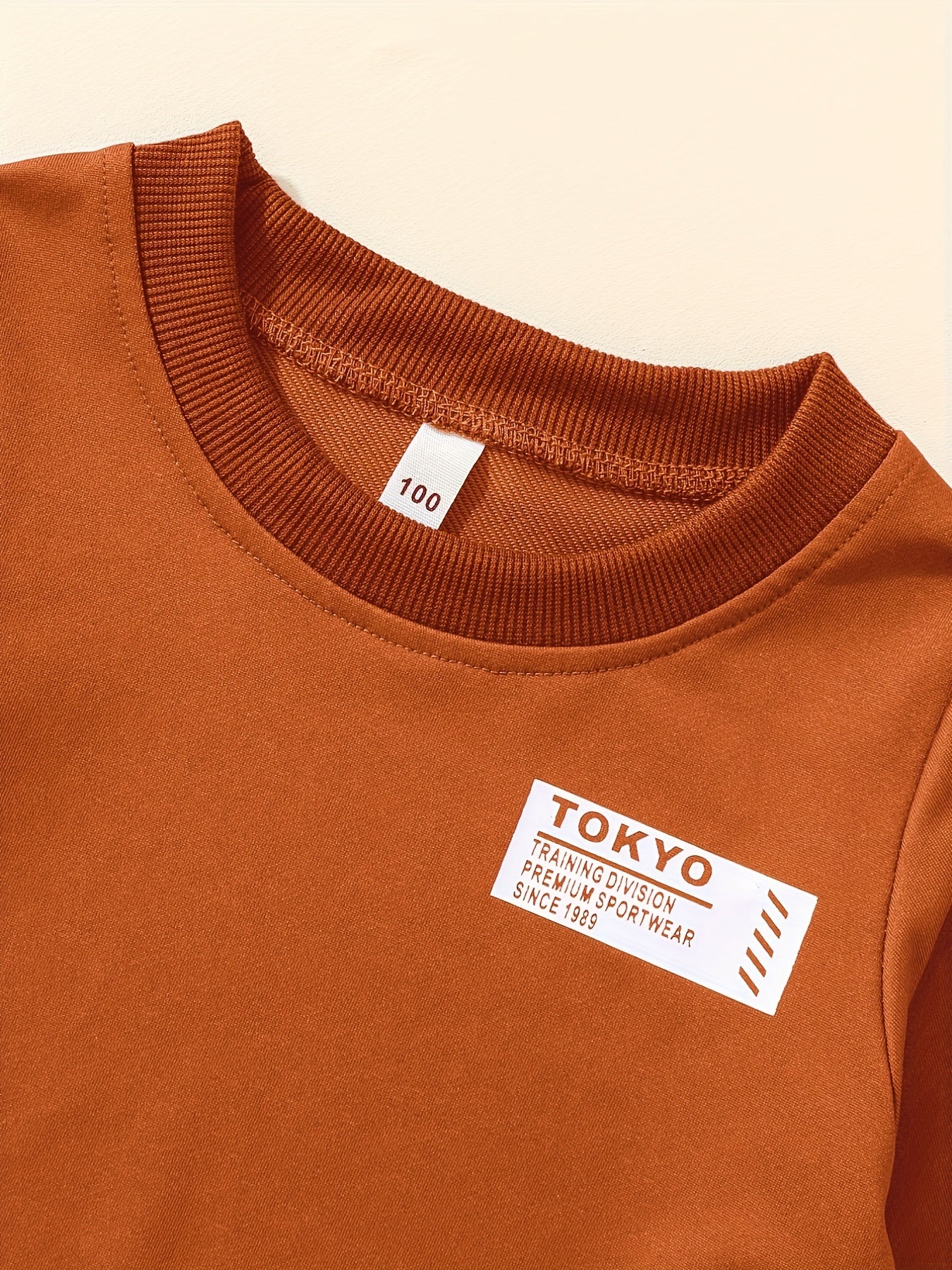 Boys Pullover Sweatshirt & Jogger Pants Set for Fall Winter