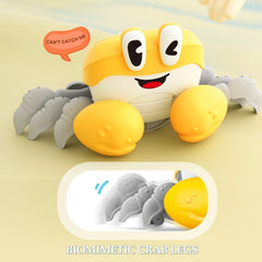 Tropical Escape Crab Musical Toy Animated Moving Left Right