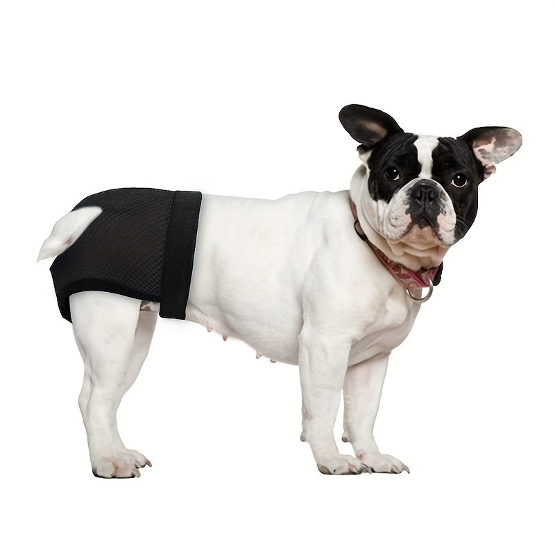 Adjustable Physiological Pants for Female Dogs Breathable with 3 Pee Pads