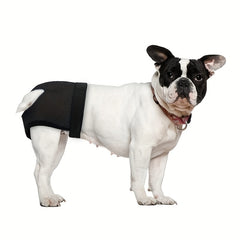 Adjustable Physiological Pants for Female Dogs Breathable with 3 Pee Pads