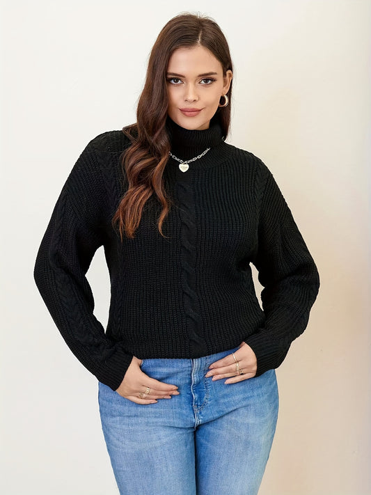  Solid Cable Long Sleeve Turtle Neck Sweater