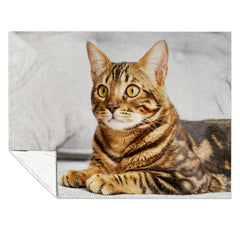 Cat Pattern Soft Plush Blanket All Seasons Flannel Couch Bed Travel Camping