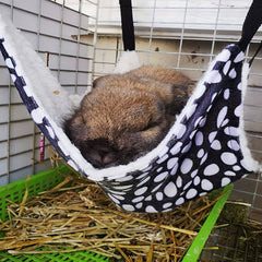 Cat Cage Hammock: Cozy Bed for Your Feline Friend