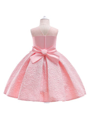 Embroidered Flower Girl Princess Dress for Party, Wedding, Performance
