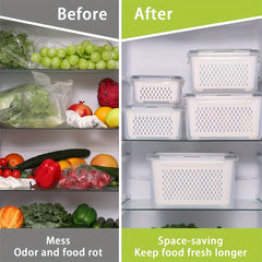 5pcs Fruit Container With Filter Mesh Cover Refrigerator Storage Box Set