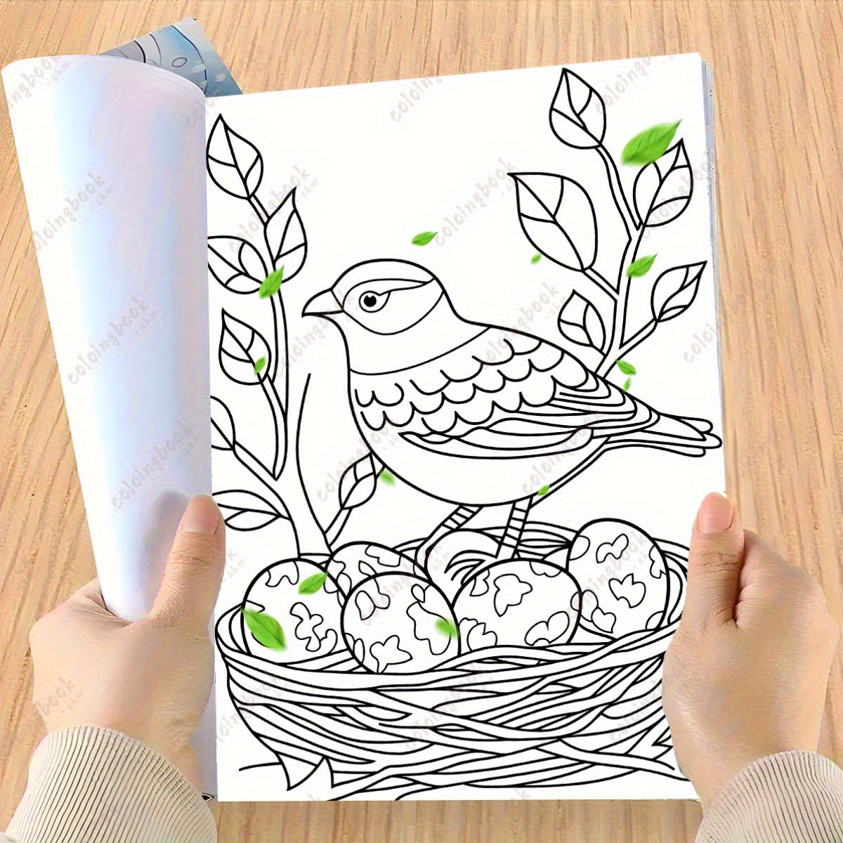 Spring Blooms Adult Coloring Book for Relaxation