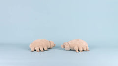 8'' Tardigrade Plush Toy Stuffed Animal Water Bear Insect Doll For Kids