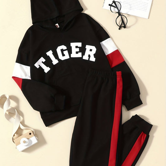 Boy's Tiger Print Hoodie & Sweatpants Set for Spring Fall