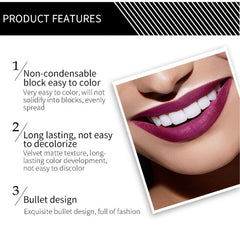 VIBELY Matte Lipstick Long Lasting Non Fading Formula