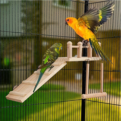 Bird Platform Swing & Climbing Ladder Set - Fun Pet Bird Toy