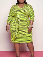  Polka Dot V-Neck Dress With Belt
