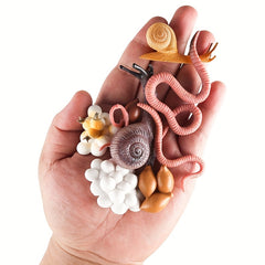 8pcs Snail & Earthworm Life Cycle Figurines Toy Set - Educational Project Birthd