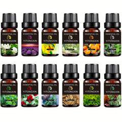 Essential Oils Relaxation Set - Strong Lasting Fragrance - Air Fresh
