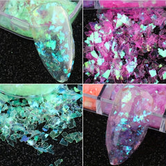 12 Grids Holographic Nail Glitter Flakes for 3D Nail Art