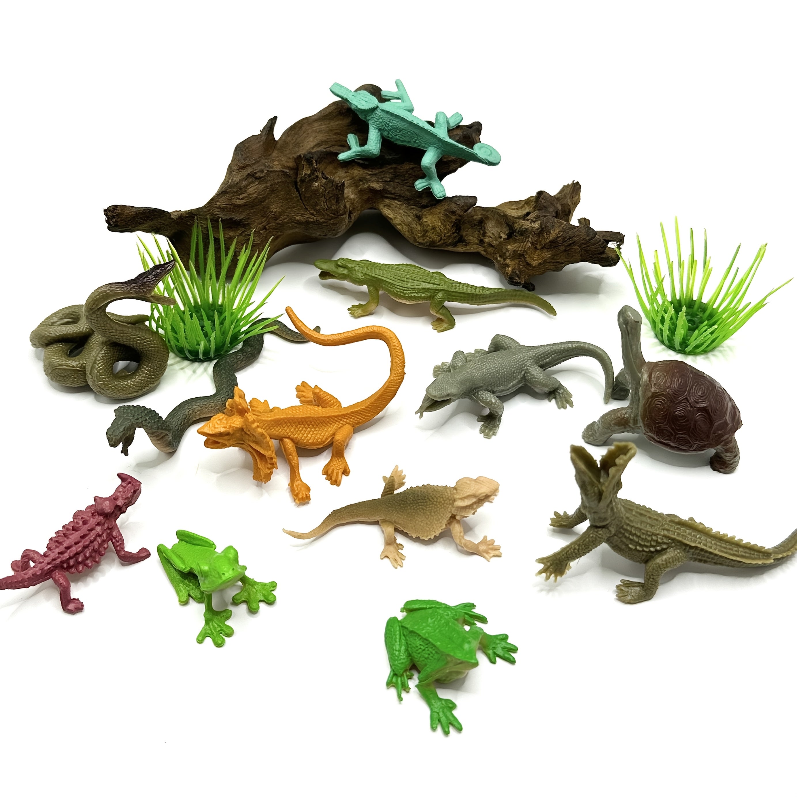 Educational Reptile & Amphibian Figurines PVC Animal Models 12pc Set