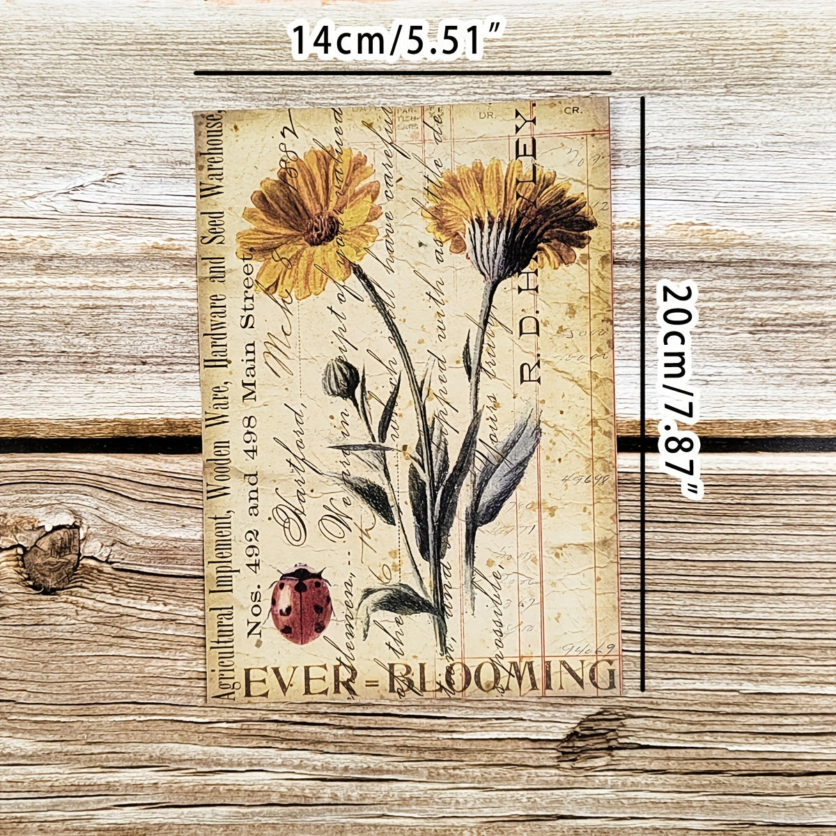8pcs Vintage Botanical Flower Plants Nature Scrapbook Papers DIY Crafts