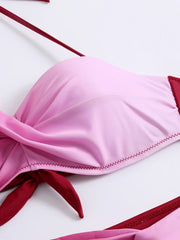 Ombre Twist Halter Tie Neck Bikini High Strech Low Waist 2 Piece Swimsuit