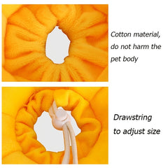 Sunflower Plush Pet Collar for Cats - Autumn/Winter Warmth - Cat Accessories