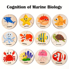 Ocean Animals Puzzle Wooden Box Set - Educational and Multifunctional