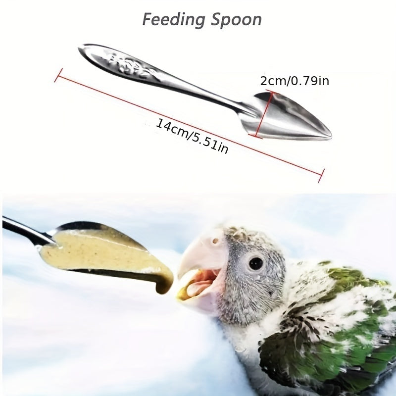 5pcs Small Bird Feeding Spoon for Parrots Easy to Use and Clean