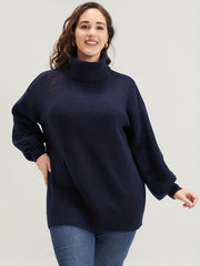  Solid Lantern Sleeve Turtle Neck Sweater