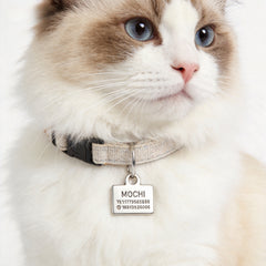 img_6601669