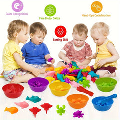 Ocean Animal Matching & Sorting Toy Set for Toddlers