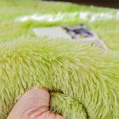 Soft Shaggy Rug For Bedroom Fluffy Carpet For Living Room Fuzzy Indoor Plush