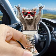 Acrylic Desk Fidget Rockin' Raccoon - Relaxing Office Fun