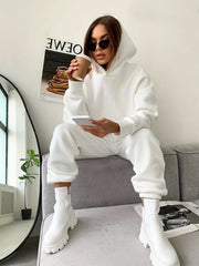 Solid Hoodie & Jogger Pants Set, Women's Clothing