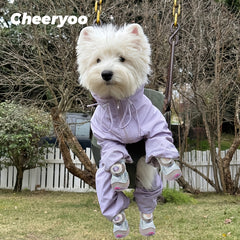 img_4682107