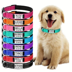 Customized Dog Collar with Engraved Nameplate - Personalized Pet Collars
