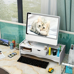 Desktop Monitor Stand with Drawer Storage Rack