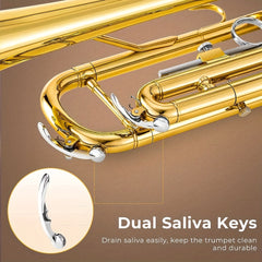 KALUOLIN TR8335 Professional B flat Trumpet Brass Lacquered Instrument