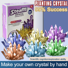 Crystal Planting Experiments Science Toys DIY Growable Crystals Set
