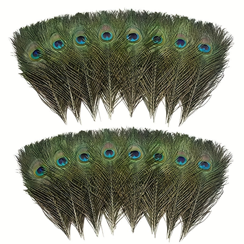 24pcs High Peacock Eye Feathers 25-48 Cm DIY Craft Dance Makeup Decor