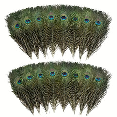 24pcs High Peacock Eye Feathers 25-48 Cm DIY Craft Dance Makeup Decor