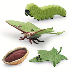 Moon God Moth Life Growth Cycle Toy Set