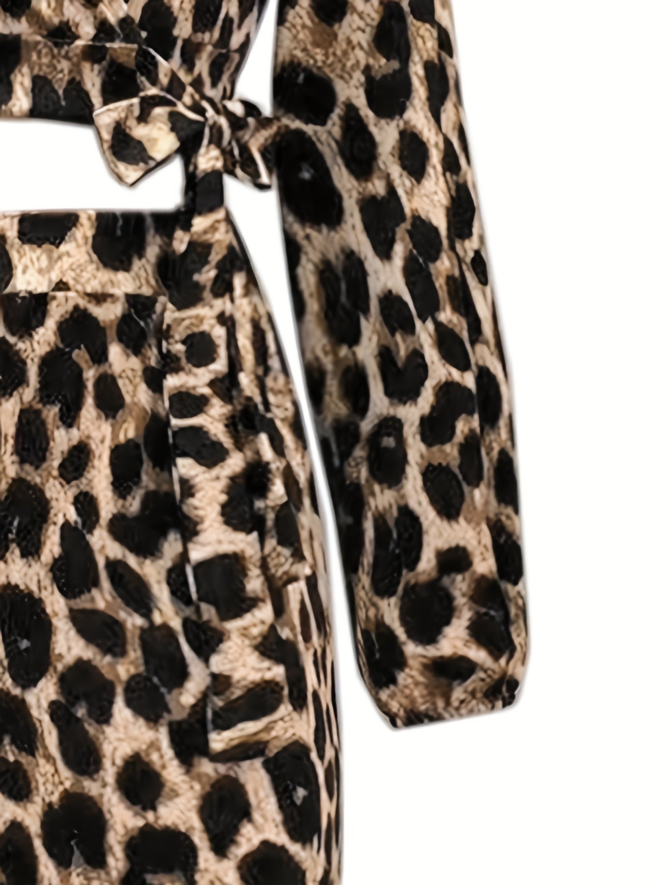 Leopard Print Two Piece Set Crop Top & Maxi Skirt Outfit
