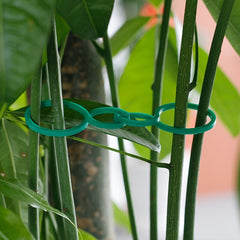 200 Tomato Clips for Plant Support in Garden Climbing Plants