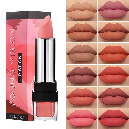 Classic Red Brown Lipsticks Nude Matte Finish 12 Colors