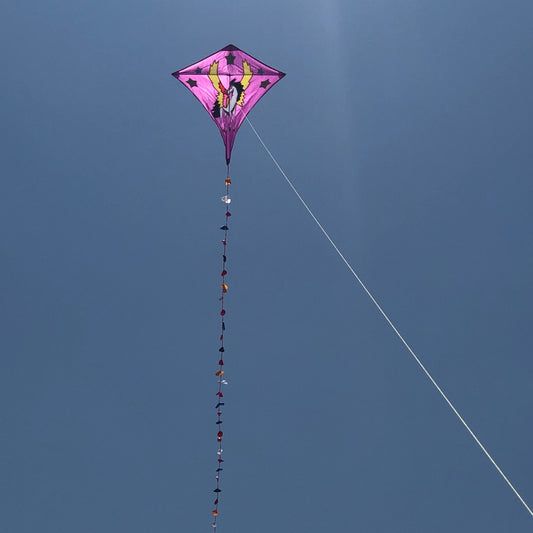 Sky Horse Kite 30m Flying Line D handle Beach Park Yard Outdoor Entertainment