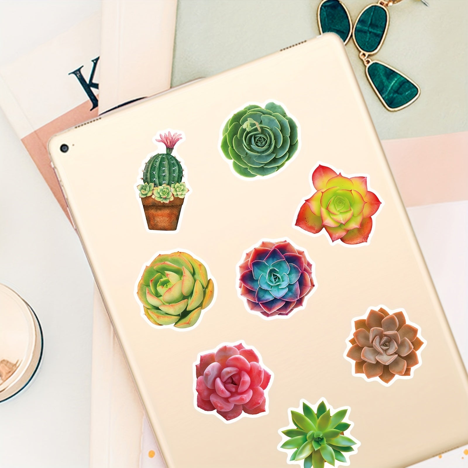 50pcs Waterproof Succulent Stickers Water Bottle Laptop Skateboard Scrapbook