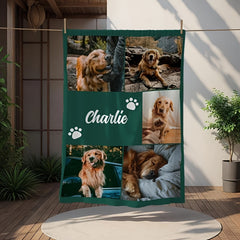 img_8227038