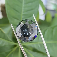 img_10964929