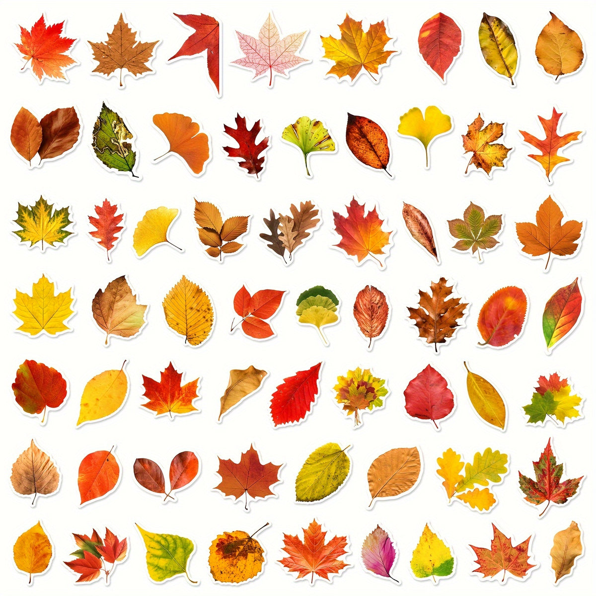 60pcs Leaf Graffiti Stickers DIY Pack for Guitar Skateboard Phone