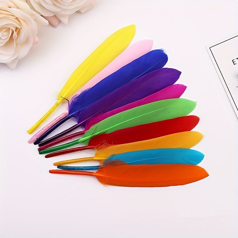 50pcs Small Straight Feather Pack - Artwork Creative Art Materials