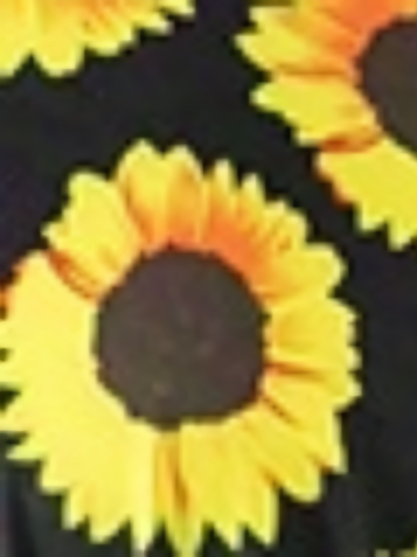  Sunflower Print Swimsuit Set Women's 2 Piece
